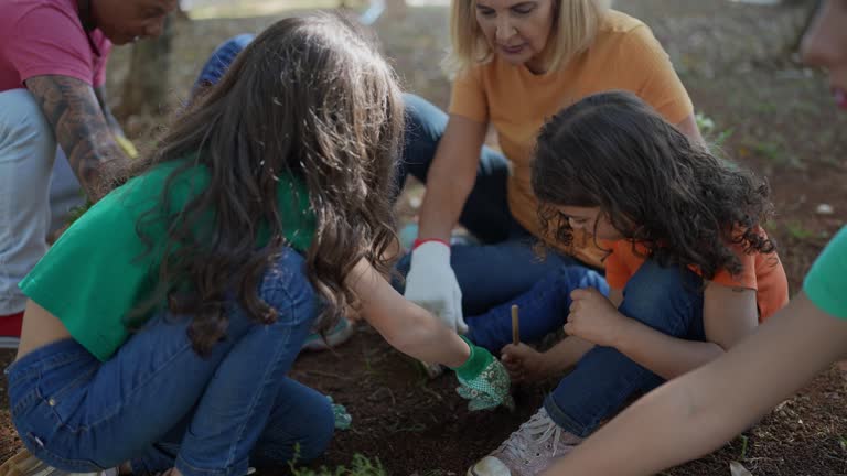 Tree and Shrub Care in Mesa, AZ